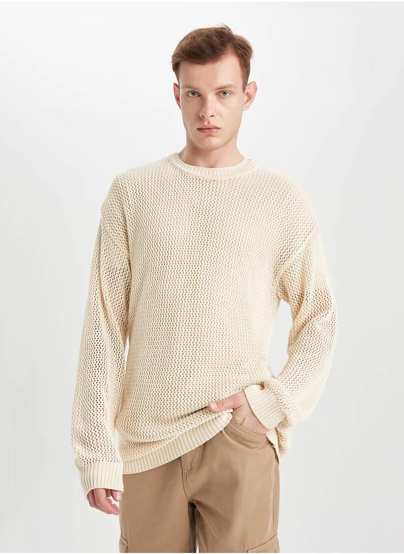 ديفاكتو Regular Fit Crew Neck Knit Sweater