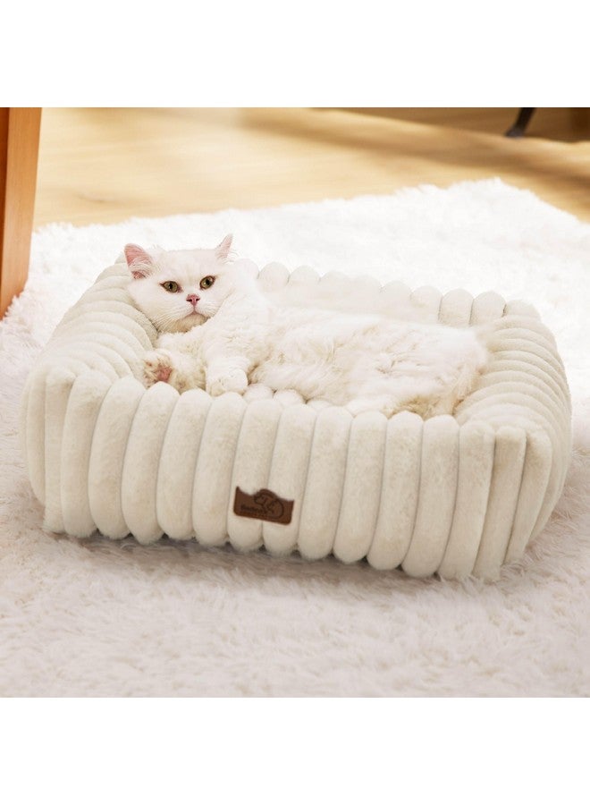 Bedsure Cute Dog Bed for Small Dogs & Cats - Washable Furry Puppy Beds, Rectangle Orthopedic Corduroy Fleece Pet Beds with Removable Zipper Cover, 20x19x6inches, Cream
