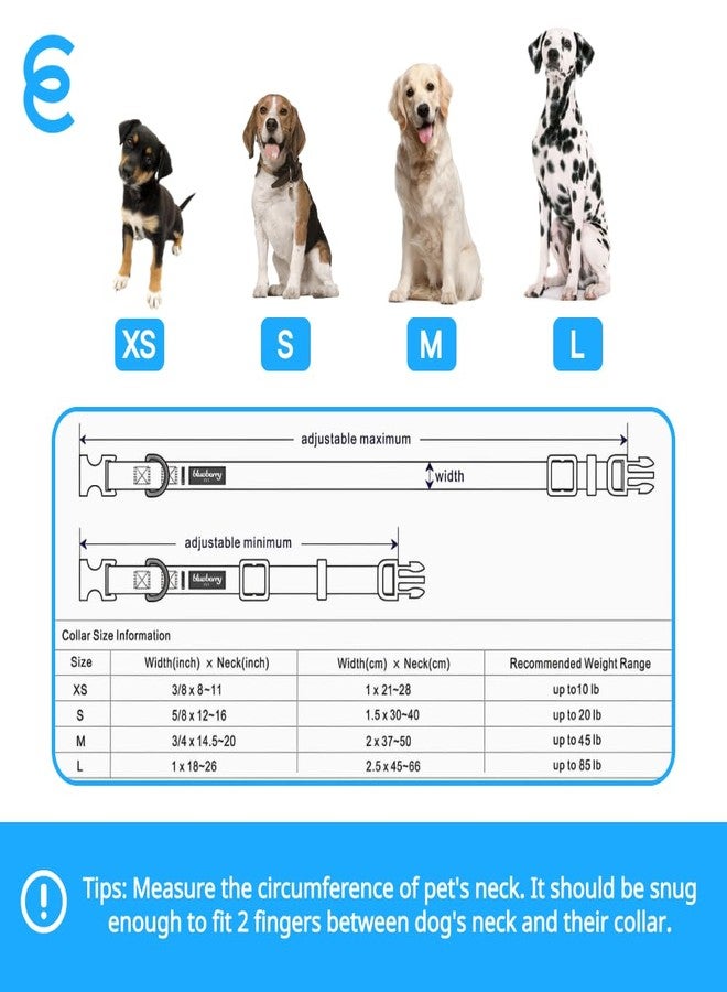 Benebone Brinquedo Mordedor Para Cachorro Benebone 2 Pack Fishbone Extra Pequeno - Image 3