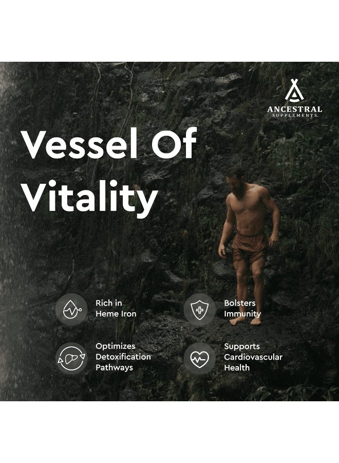 Ancestral Supplements Blood Vitality - Image 3