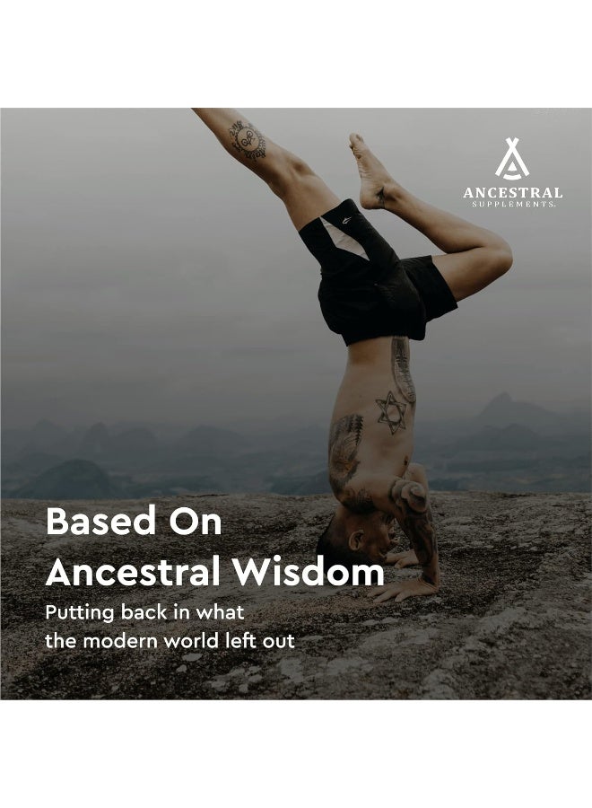 Ancestral Supplements Blood Vitality - Image 5