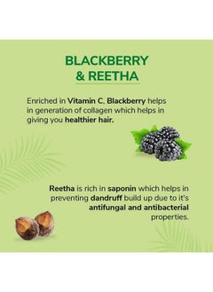 Nyle Naturals Volume Enhance Shampoo With Blackberry Reetha And Amla Gentle & Soft Shampoo Ph Balance And Paraben Free 1L  - Image 4
