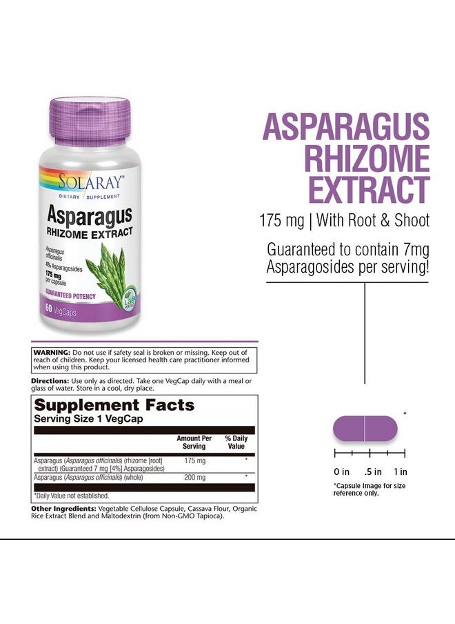 Solaray - Asparagus Rhizome Extract 175 Mg W/Whole Root ; Healthy Urinary Tract & Digestive Health Support ; 60 Vegcaps - Image 1