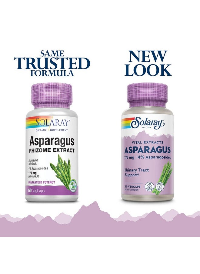 Solaray - Asparagus Rhizome Extract 175 Mg W/Whole Root ; Healthy Urinary Tract & Digestive Health Support ; 60 Vegcaps - Image 1