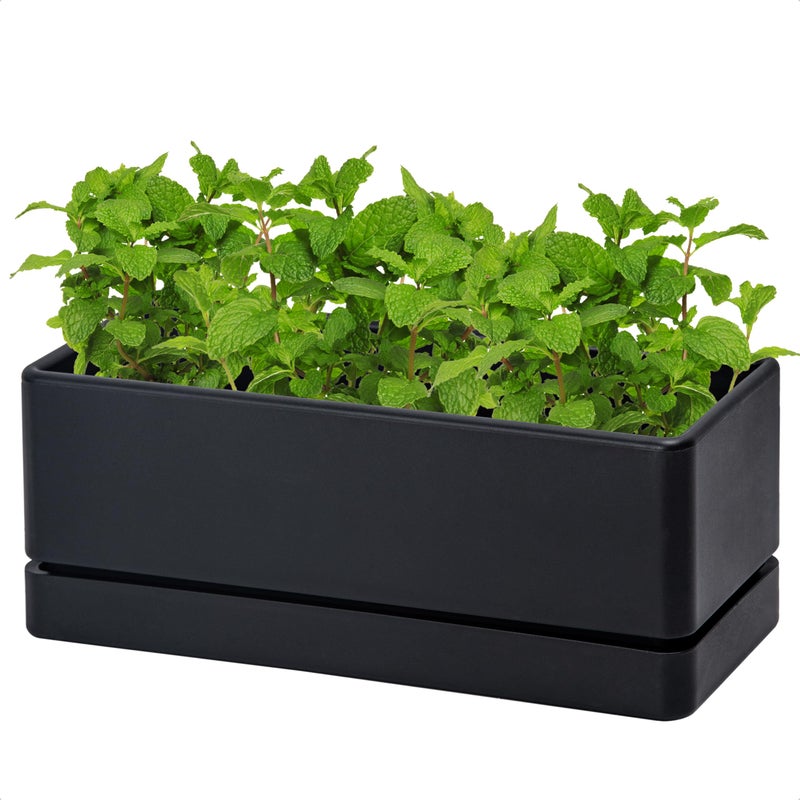 Dvine Dev 12 Inch Window Box Planter Rectangle Plastic Herb Planter with Drainage Holes and Saucer Indoor Succulent Cactus Vegetable Pot for Windowsill Garden Balcony Black Set of 1 76XB1