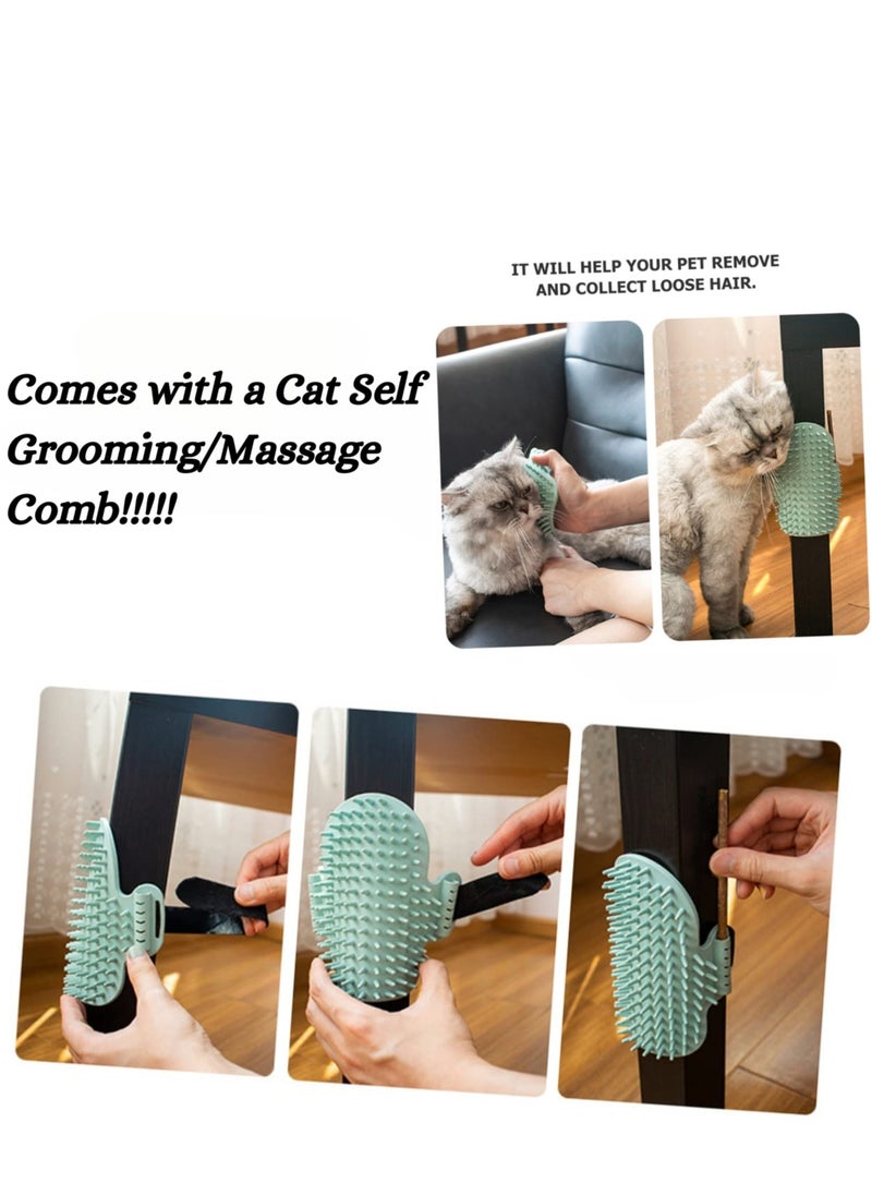 Next Vogue Next Vogue Cat Litter Mat Kitty Litter Trapping Mat Honeycomb Double Layer, Urine Waterproof, Easier to Clean, Litter Box Mat Scatter Control, Less Waste, Soft on Paws, Non-Slip (70 x 50 CM, Black)  - Image 2