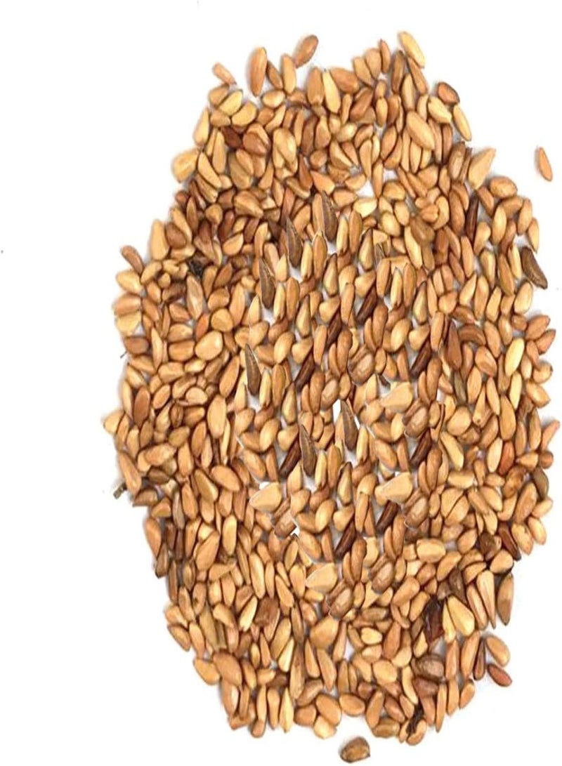 جي جوت بذور الورد المزخرفة، تفضل أشعة الشمس، شتلات الورد الطبيعية غير الهجينة للزراعة في الحديقة والمنزل، 50 قطعة/الحقيبة - وردية اللون - Image 5