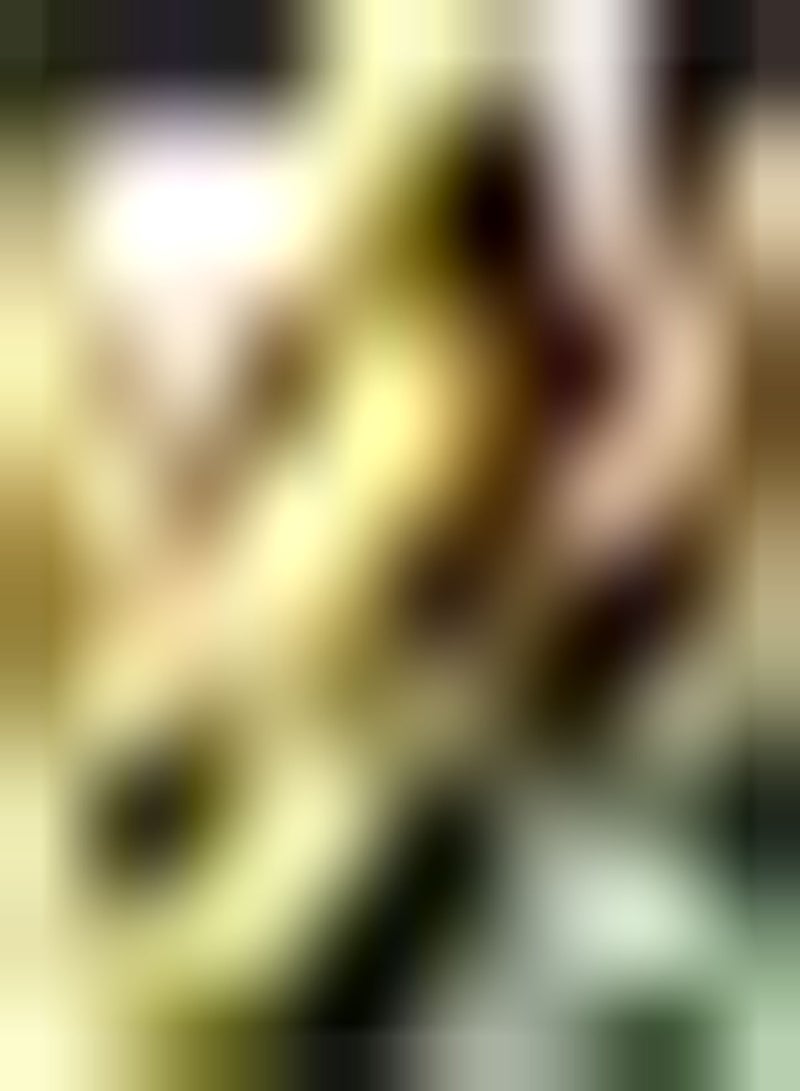 GGOOT 10 gelbe Pfirsichkerne saftige Früchte schaffen eine einzigartige künstlerische Landschaft Wartungsarm Fügen Sie der Schönheit des Gartens eine schöne Landschaft hinzu - Image 2