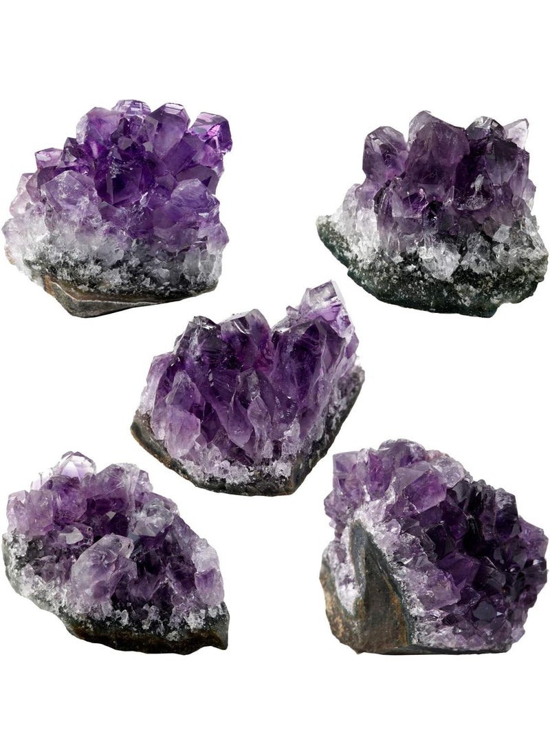 SUNYIK SUNYIK Natural Amethyst Quartz Crystal Cluster,Druzy Geode Specimen Gemstone Sculpture Sphere, Pack of 5 
