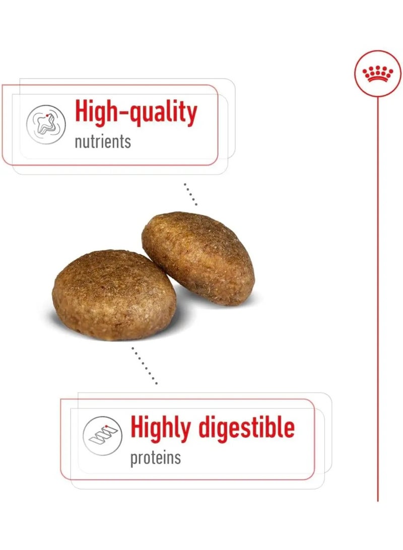 ROYAL CANIN طعام جاف للبالغين من رويال كانين ماكسي 10 كجم - Image 3