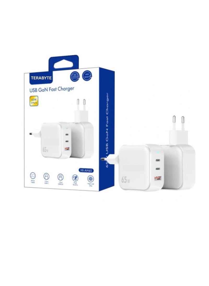 Terabyte USB GaN Fast Charger 65W 3ports - Image 1