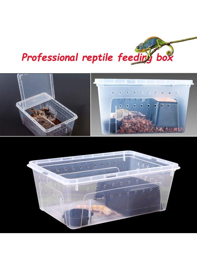 هامليدي صندوق تغذية الزواحف Hamiledyi مكون من قطعتين، صندوق تربية الثعابين، قفص شفاف لموئل الحيوانات، حاوية نقل بلاستيكية محمولة للسلاحف، تنين ملتحي، سحلية، عنكبوت، ضفدع، عقرب، أبو بريص، 12.6 × 8.6 × 5.9 - Image 5