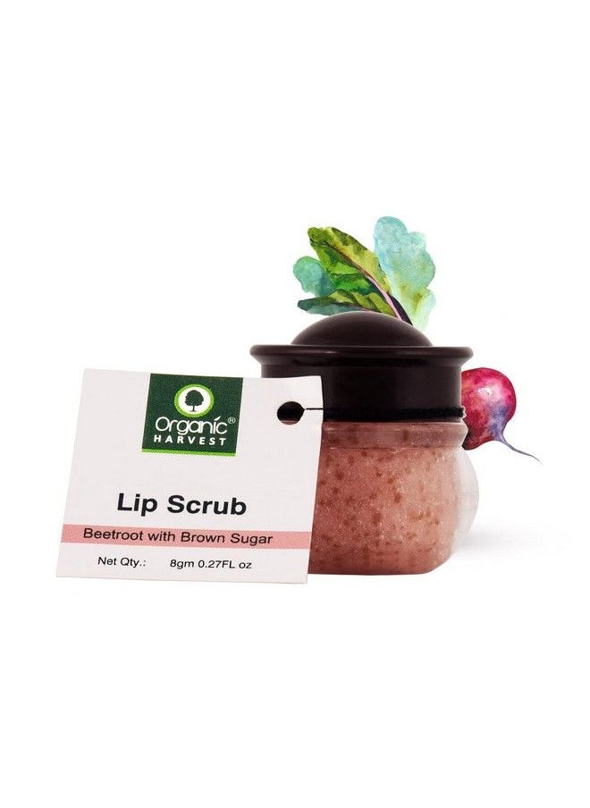 Organic Harvest Lip Scrub With Beetroot Extracts For Lightening & Brightening Dull Lips Infused With Natural Products To Repair Dark And Damaged Lips Best For Men & Women 100% Organic 8Gms  - Image 2