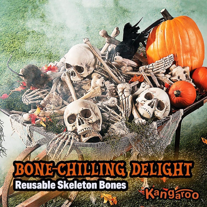 Kangaroo Box of Bones - 30 Piece Set with Skull and Flexible Jaw - Image 4