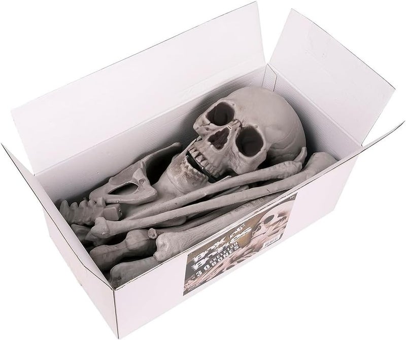 Kangaroo Box of Bones - 30 Piece Set with Skull and Flexible Jaw - Image 3
