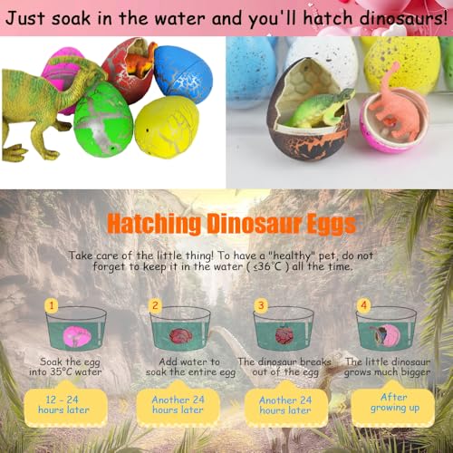 OceanWings Valentines Day Cards for Kids School 24 Pack Hatching Dinosaur Eggs with CardsDinosaur Birthday Party FavorsValentines Day Gifts for Boys Girls Classroom - Image 5