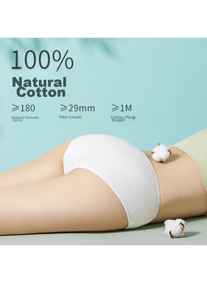 Sometimes, Disposable Cotton Underwear For Women, Pure Cotton, No Washing Required, For Pregnant Women, Postpartum Women, During Menstruation, For Travel, Individually Packaged, Size L - Image 1
