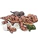 BENINY 6 Pcs Bearded Dragon Lizard Stuffed Animal Large Yellow Iguana Plush Toy 28 with 3 Babies Reptile Gift Set for Boys Girls Kids - Image 2