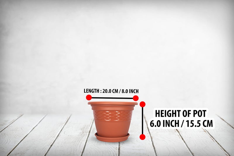 Halsey Clean Home Round Virgin Plastic Modern Design Durable Plastic Plant Pot for Gardening (Pack of 4) (POTS with Tray, XSMALL-06 INCH) - Image 5