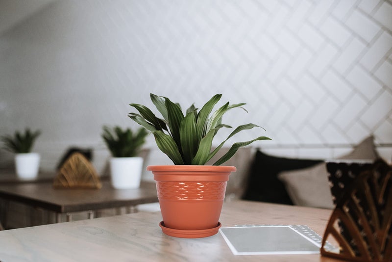 Halsey Clean Home Round Virgin Plastic Modern Design Durable Plastic Plant Pot for Gardening (Pack of 4) (POTS with Tray, XSMALL-06 INCH) - Image 3