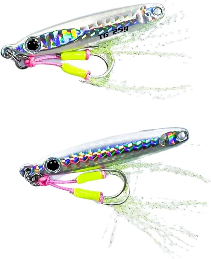 JIGGAT Tungsting I Jigs - Premium Tungsten Fishing Lure (25g, Silver)