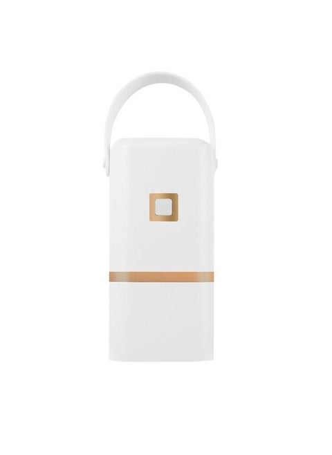 Portable mini dryer with timer function