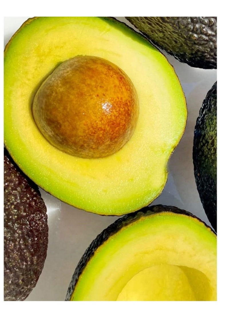 BYPHASSE Family Fresh Delice Dry Hair Mask 250 ML - Image 3