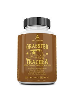 Ancestral Supplements Grass Fed Beef Tracheal Cartilage Supplement With Liver 3000Mg Immune Health And Joint Support Supplement Promotes Healing Nongmo 180 Capsules  - Image 1