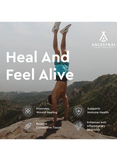 Ancestral Supplements Grass Fed Beef Tracheal Cartilage Supplement With Liver 3000Mg Immune Health And Joint Support Supplement Promotes Healing Nongmo 180 Capsules  - Image 3