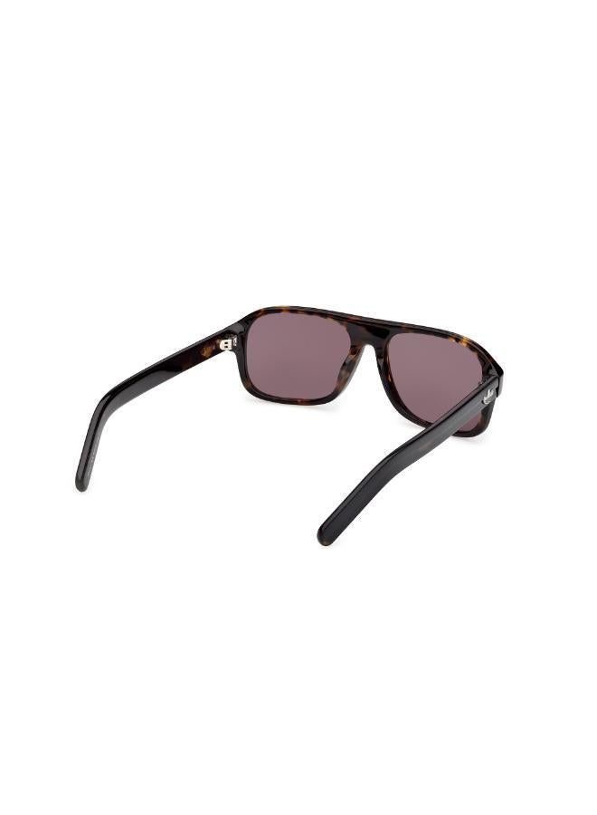Adidas wayfarers sunglasses - Image 5