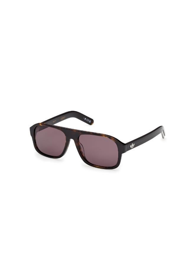 Adidas wayfarers sunglasses - Image 4