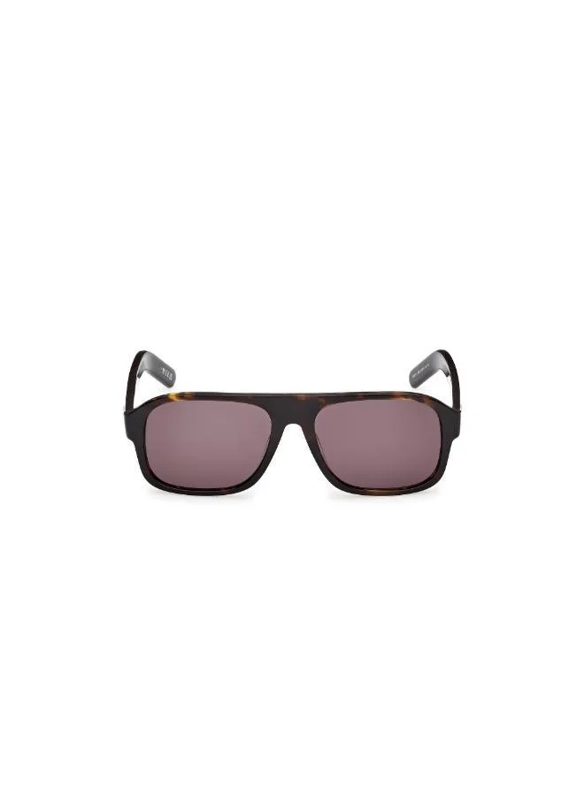 اديداس wayfarers sunglasses