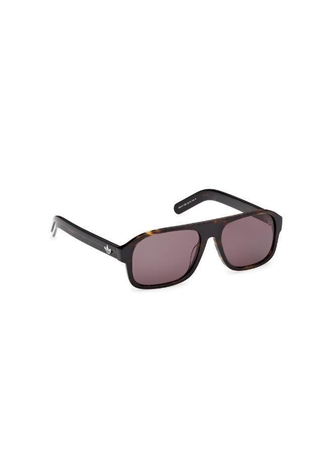 Adidas wayfarers sunglasses - Image 3