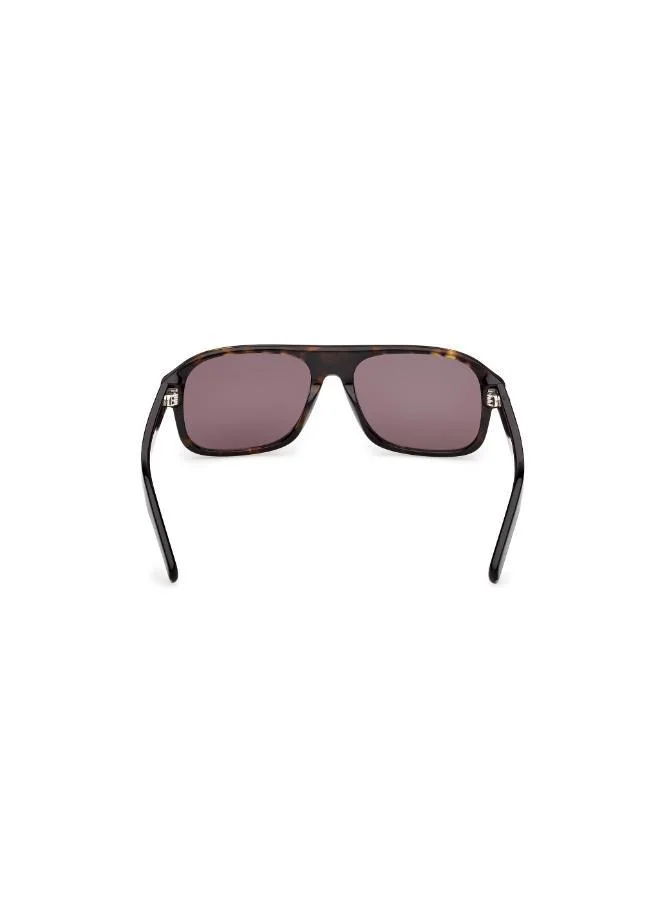 اديداس wayfarers sunglasses