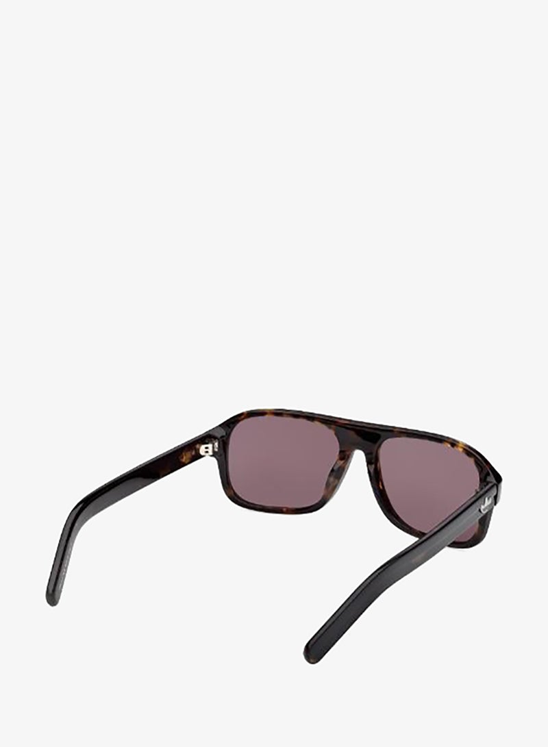 Adidas wayfarers sunglasses - Image 5