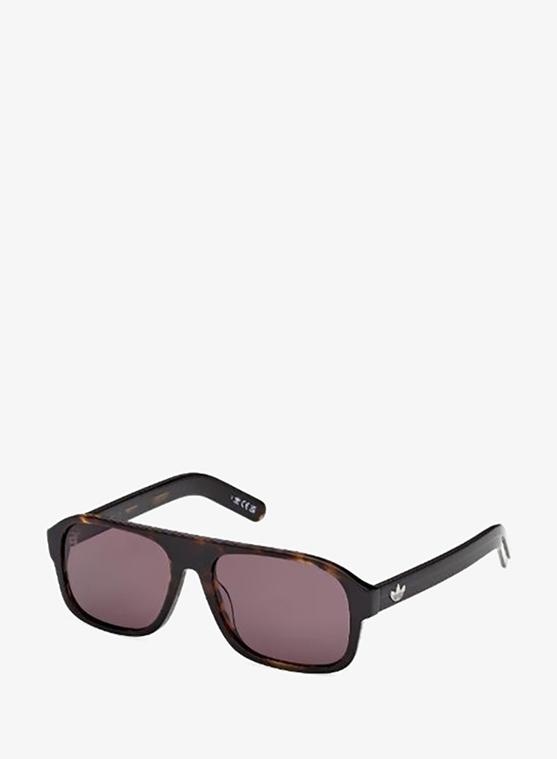Adidas wayfarers sunglasses - Image 4