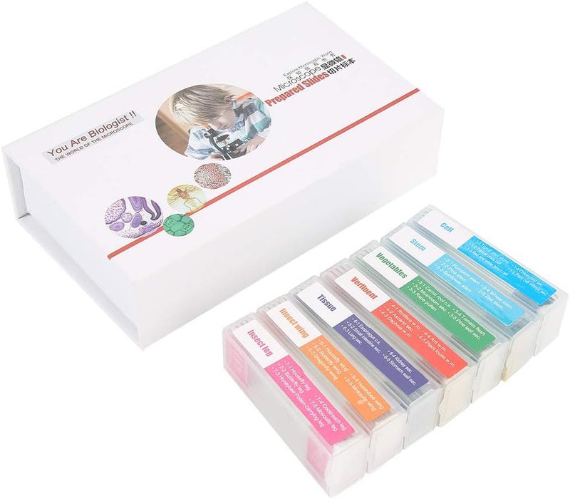Desert area eligible deliver 35pcs Biology Glass Prepared Microscope Slides Lab Specimens Set, Prepared Slide Great Biological Prepared Slide for Kids and Students, for Exploring The Biological Flexible anti-break Trendy natural assorted colors Global easy assemble picks Multi-market matching options Gulf mainstream practical design Safe silicone build Salt mist resistant Light & heavy use compatible Stackable design Cost effective global grade quality Dust tight seal Tiered purchase options Varied global sizing picks Gulf popular simple design One piece build Balanced weight All-season available stock Reliable daily use design Heat resistant Wide daily application Fine detail Timely planned dispatch All season compatible build Single & bulk use compatible - Image 1