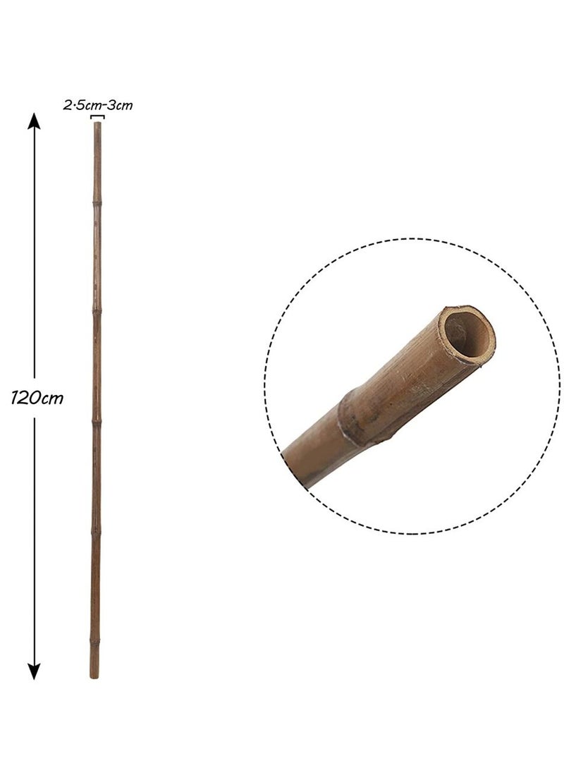 Generic Natural Garden Bamboo Plant Sticks For Indoor Climbing and Outdoor Flowers Vine Plants Support Garden Canes Poles Stakes(120cm)(10pcs)  - Image 4