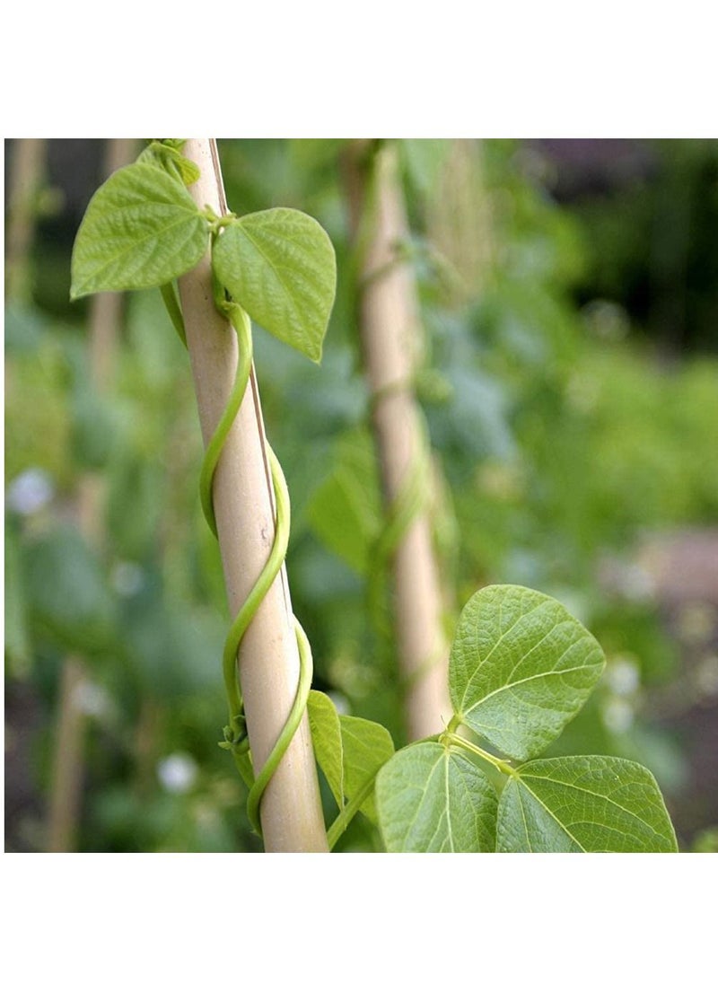 Generic Natural Garden Bamboo Plant Sticks For Indoor Climbing and Outdoor Flowers Vine Plants Support Garden Canes Poles Stakes(120cm)(10pcs)  - Image 2