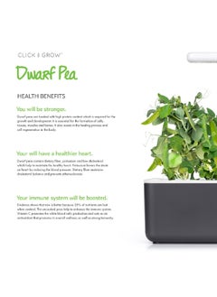 CLICK AND GROW 3Piece GMO and Pesticide With Free Edible Dwarf Pea Plant Pods for Smart Garden Green 8.5 x 5.5 x 20.5 cm SGR54X3  - Image 5