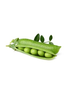 CLICK AND GROW 3Piece GMO and Pesticide With Free Edible Dwarf Pea Plant Pods for Smart Garden Green 8.5 x 5.5 x 20.5 cm SGR54X3  - Image 2