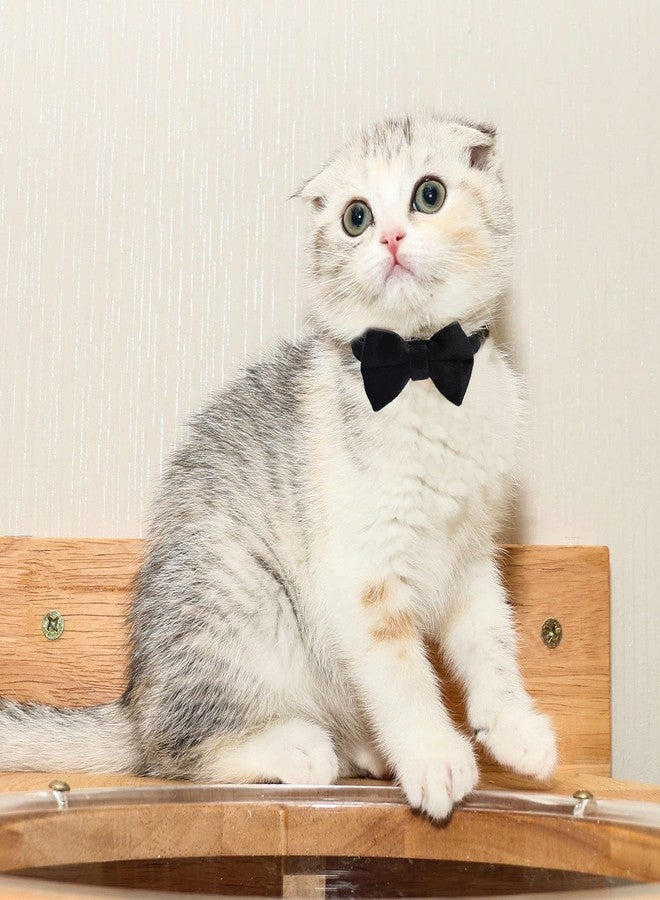 Sliverdew 2 Pcs Velvet Cat Collar with Bell and Bowtie, Adjustable Breakaway Cat Collars Kitten Small Puppy Safety Bow Tie Solid Wedding Basic Color Cat Bow Tie Collar - Image 4