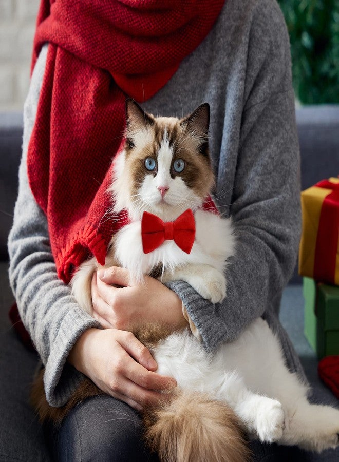 Sliverdew 2 Pcs Velvet Cat Collar with Bell and Bowtie, Adjustable Breakaway Cat Collars Kitten Small Puppy Safety Bow Tie Solid Wedding Basic Color Cat Bow Tie Collar - Image 3