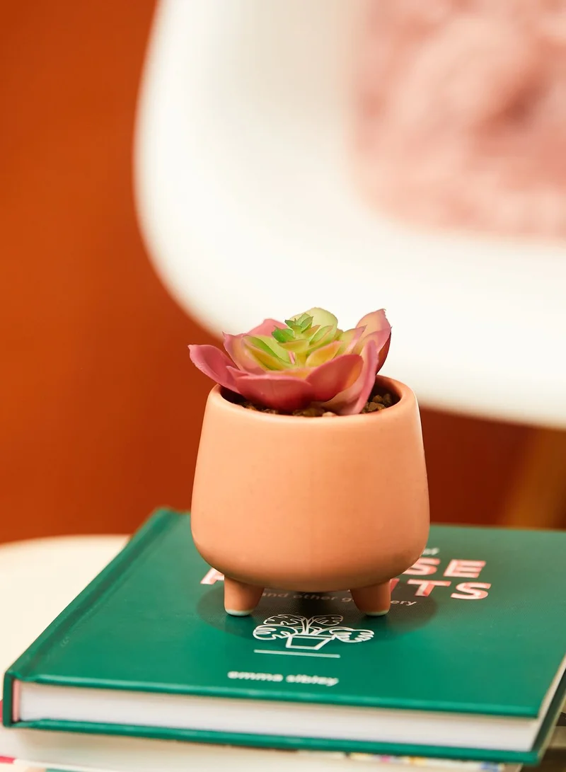Rubi Mini Planter