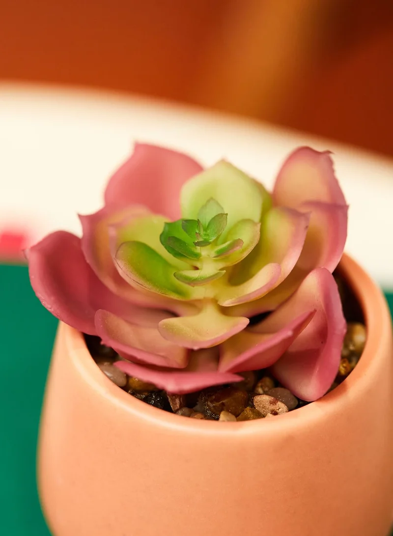 Rubi Mini Planter