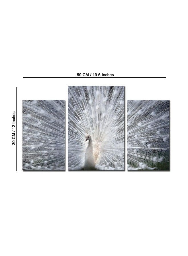 لوحة جدارية من مادة MDF بتصميم Go Hooked/فن معلق/ديكور (28 سم × 9 سم × 28 سم، 3 إطارات، MDF3X-24)