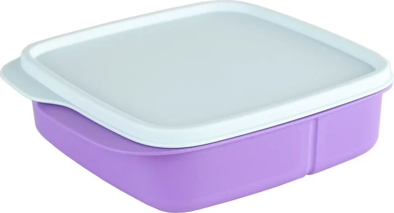توبروير Divided Lunch Box 550 ml