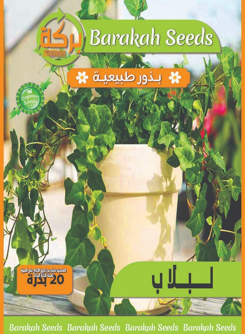 ماركة غير محددة بذور ذات معدل إنبات عالي - لبلاب 