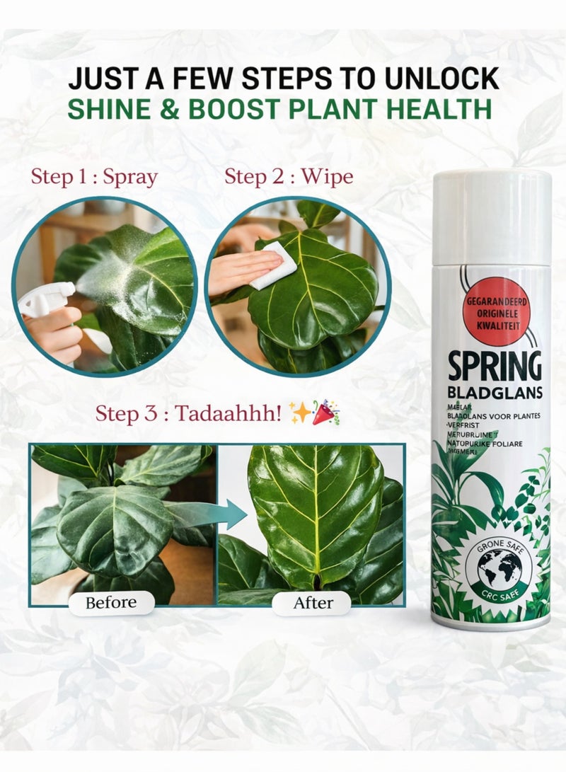 سبرينغ بخاخ تلميع أوراق نبات بلادغلانس الربيعي 600 مل - صنع في هولندا | بخاخ تلميع للنباتات الداخلية والخارجية | آمن على طبقة الأوزون وخالٍ من مركبات الكلوروفلوروكربون | ملمع أوراق مضاد للغبار لإضفاء لمعان طبيعي - Image 2