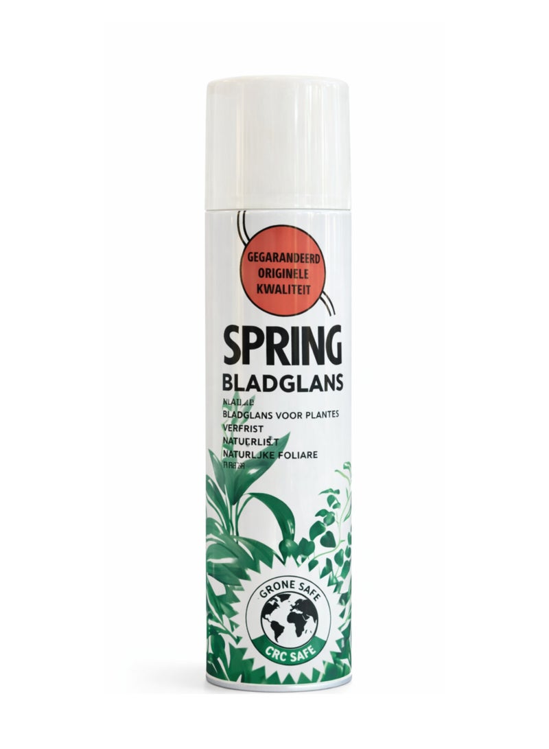 سبرينغ بخاخ تلميع أوراق نبات بلادغلانس الربيعي 600 مل - صنع في هولندا | بخاخ تلميع للنباتات الداخلية والخارجية | آمن على طبقة الأوزون وخالٍ من مركبات الكلوروفلوروكربون | ملمع أوراق مضاد للغبار لإضفاء لمعان طبيعي - Image 1